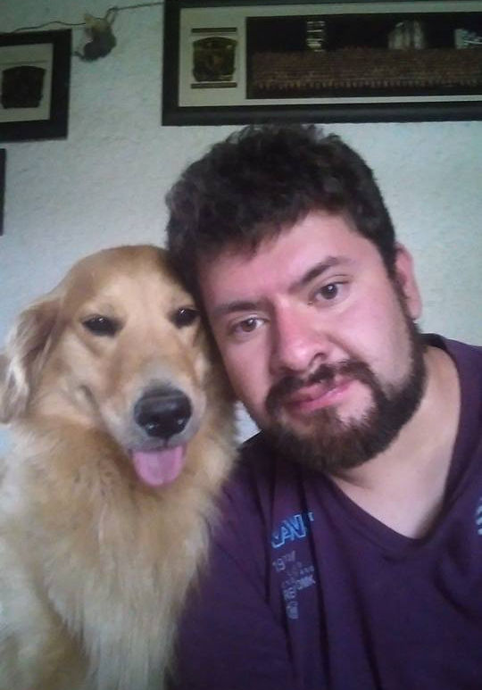 El Enigmático Golden Retriever Sin Pelo Desmitificando la Realidad